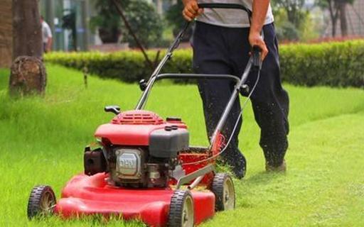 15216215421165972713