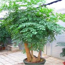 微信圖片_20180411151512