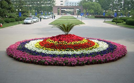 節(jié)日花壇1