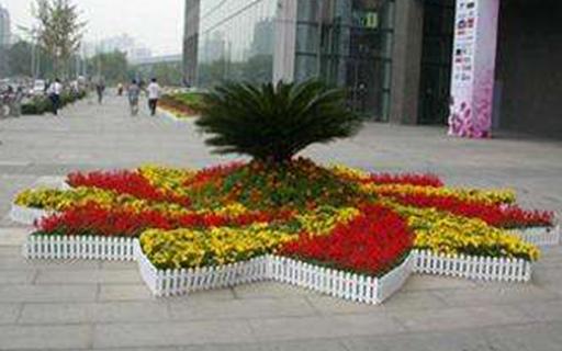 節(jié)日花壇10