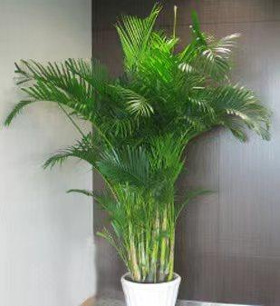 微信圖片_20220520162732