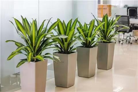 微信圖片_20230226192018